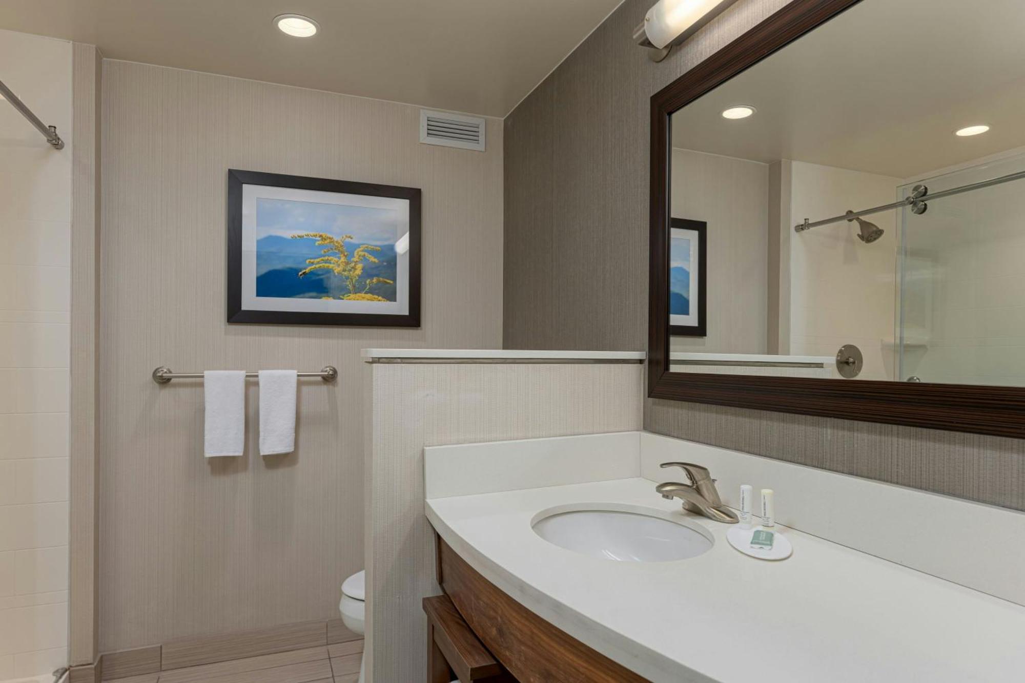 Courtyard By Marriott Asheville Airport Флетчер Екстер'єр фото